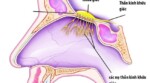 Mất khả năng khứu giác – báo hiệu cái chết