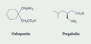 gabapentin pregabalin